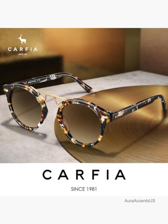 Retro Double Bridge Polarized Sunglasses main image 2